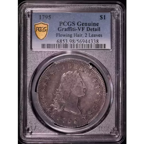 1795 $1 Flowing Hair, 2 Leaves (2)