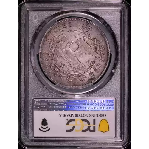 1795 $1 Flowing Hair, 2 Leaves (3)