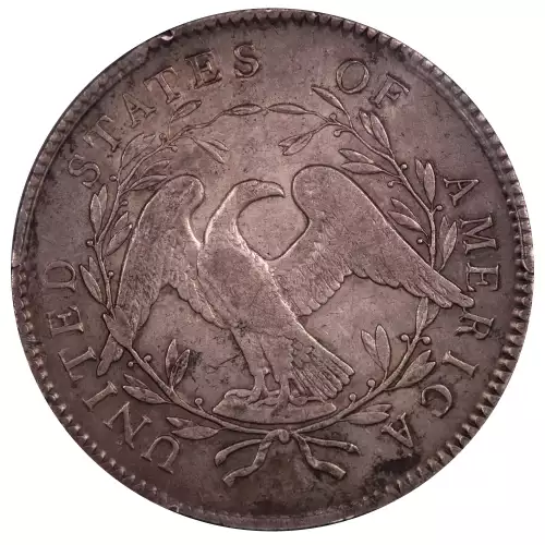 1795 $1 Flowing Hair, 2 Leaves (4)