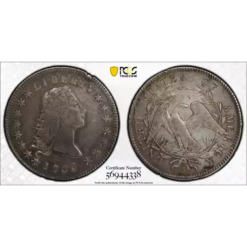 1795 $1 Flowing Hair, 2 Leaves (2)