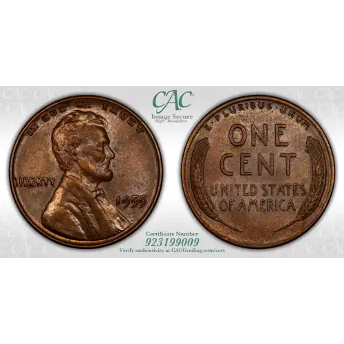 1955 Doubled Die Obverse 1c BN (4)
