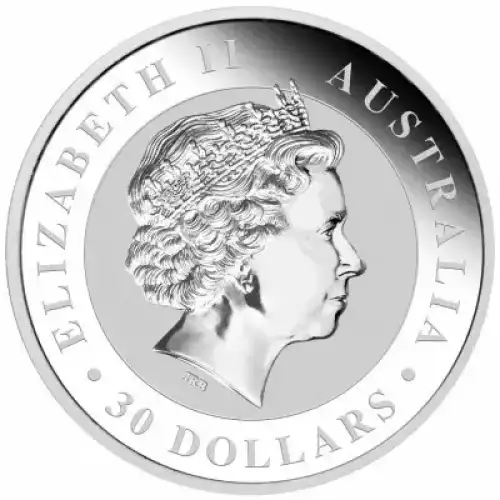 Any Year 1kg Australian Perth Mint Silver Kookaburra