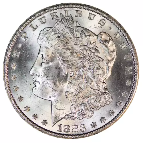 Morgan Silver Dollar