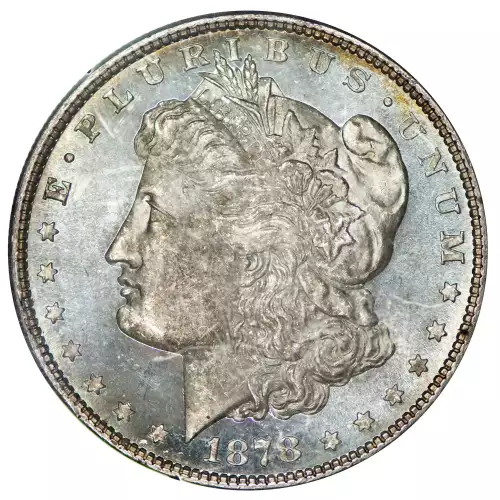 Morgan Silver Dollar (4)