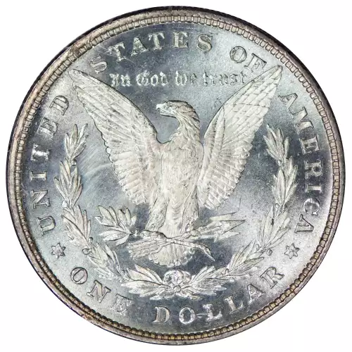 Morgan Silver Dollar (2)