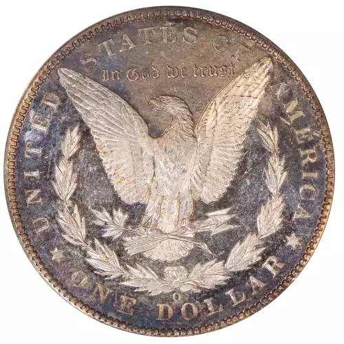 Morgan Silver Dollar (4)