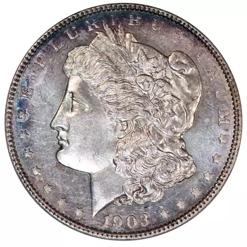 Morgan Silver Dollar (4)