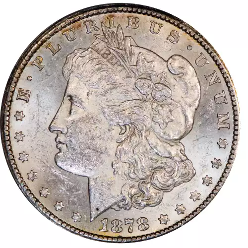 Morgan Silver Dollar