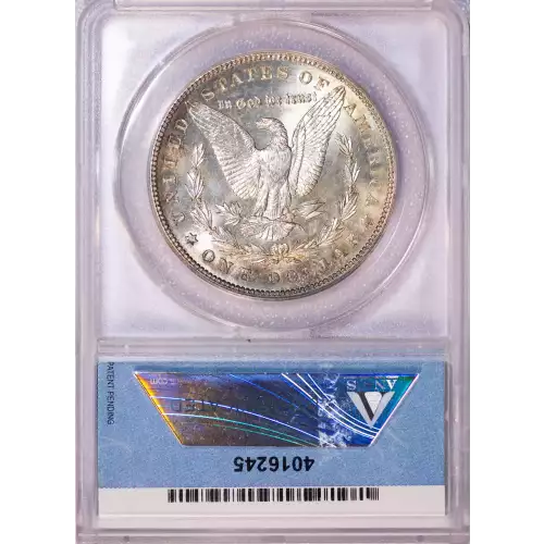 Morgan Silver Dollar (2)