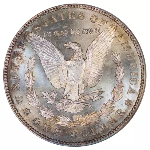 Morgan Silver Dollar (4)