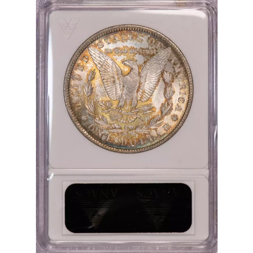 Morgan Silver Dollar (2)