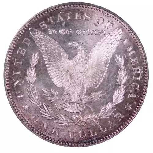 Morgan Silver Dollar (4)