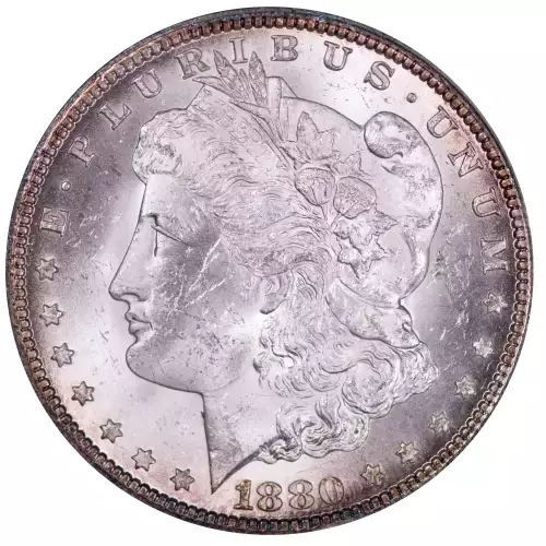 Morgan Silver Dollar (4)