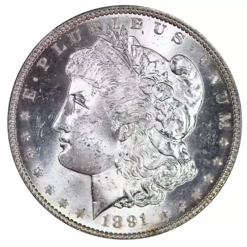 Morgan Silver Dollar (3)