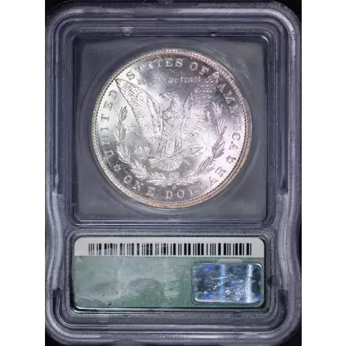 Morgan Silver Dollar (2)