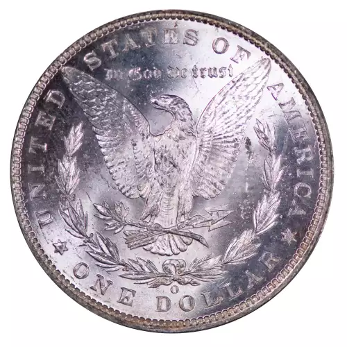 Morgan Silver Dollar (4)