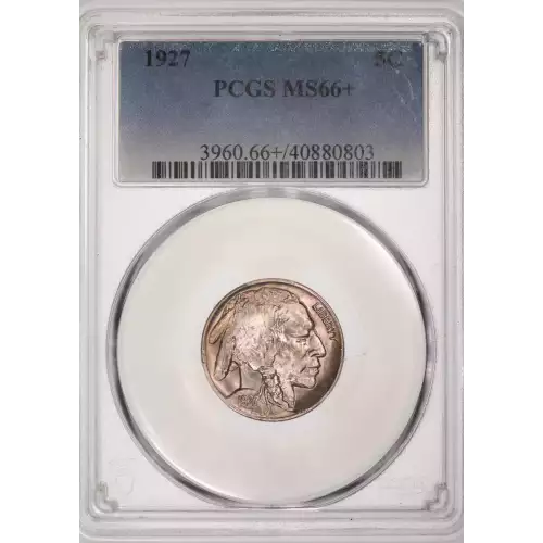 Nickel Five Cent Pieces-Indian Head or Buffalo (3)