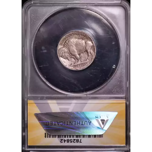 Nickel Five Cent Pieces-Indian Head or Buffalo (3)