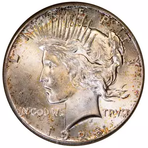 Peace Silver Dollar (4)