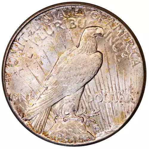 Peace Silver Dollar (3)