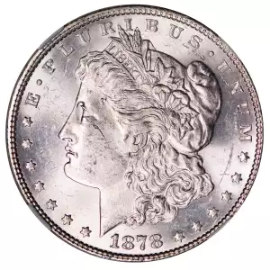 Morgan Silver Dollar (4)
